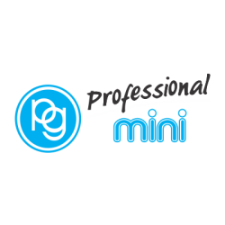 Profmini